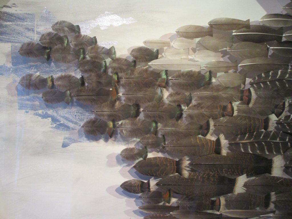 detail zèbré