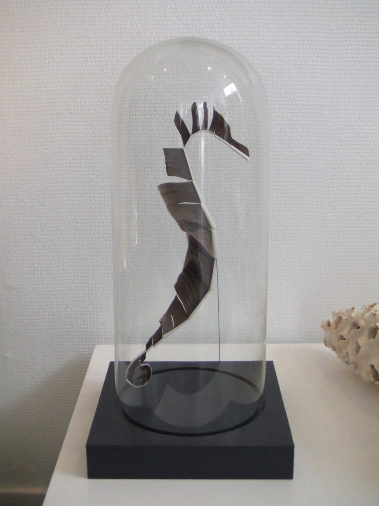 hippocampe